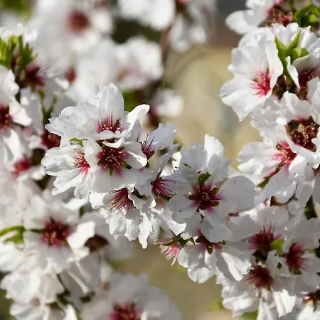 Casa Romero Bed & Breakfast