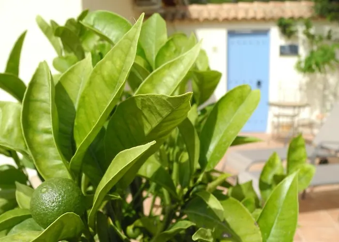 Casa Romero Bed & Breakfast