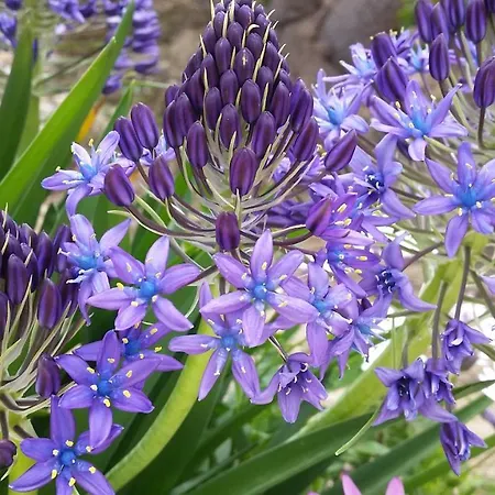 Bed & Breakfast Casa Romero Lliber