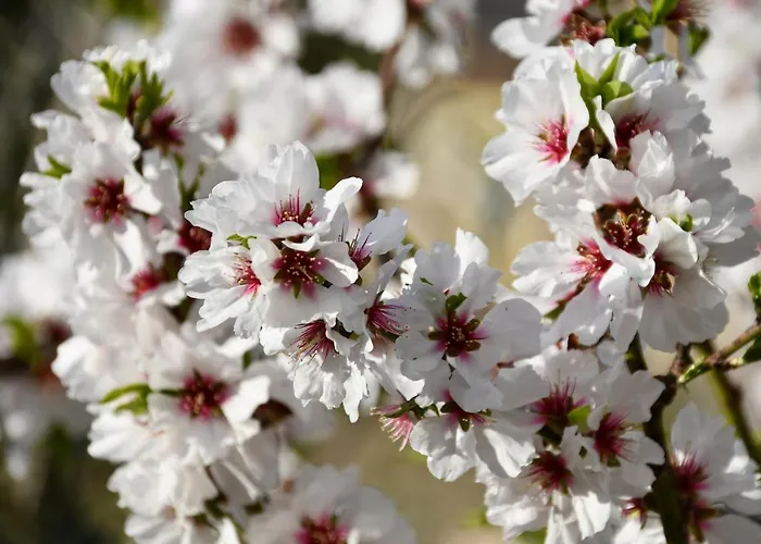 Casa Romero Alojamento de Acomodação e Pequeno-almoço